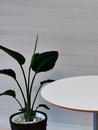 Tinteggiature E Decorazioni Casa Milano 04